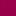 Rose Fushia