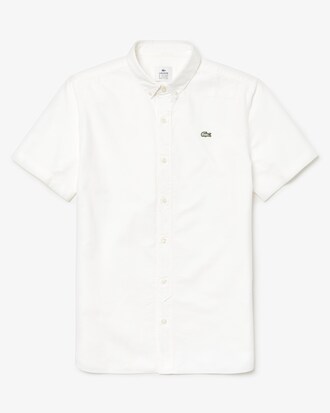 Herren-Bluse aus Oxford-Baumwolle LACOSTE L!VE