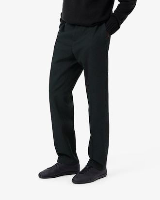 Regular Fit Tailored Wool Blend Pants