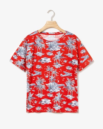 Women's Crew Neck Print Cotton Crepe Jersey T-shirt