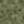 Khaki / Dark Green