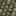 Khaki / Dark Green