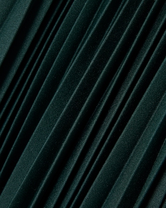 Long Pleated Elasticated Waist Skirt