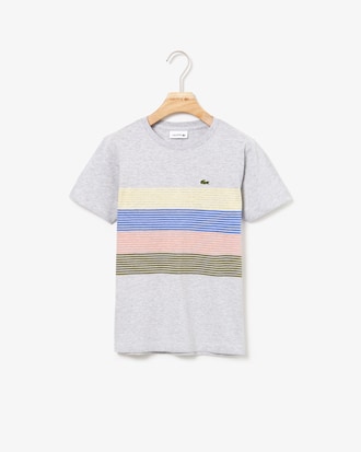 Boys' Crew Neck Colour Striped Bands Cotton T-shirt
