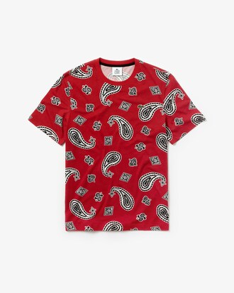 Men's Lacoste LIVE Crew Neck Paisley Print Cotton T-shirt