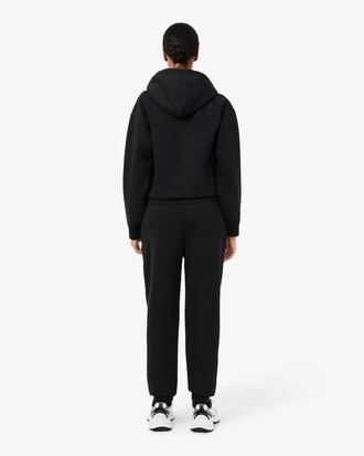 Tapered Leg Sport Sweatpants