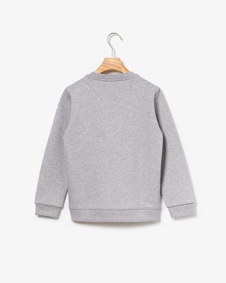 Boys' Lacoste SPORT French Open Edition Embroidered Sweatshirt