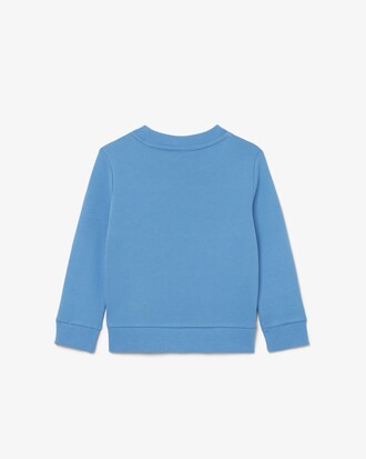 Colorblock Fleece Sweatshirt