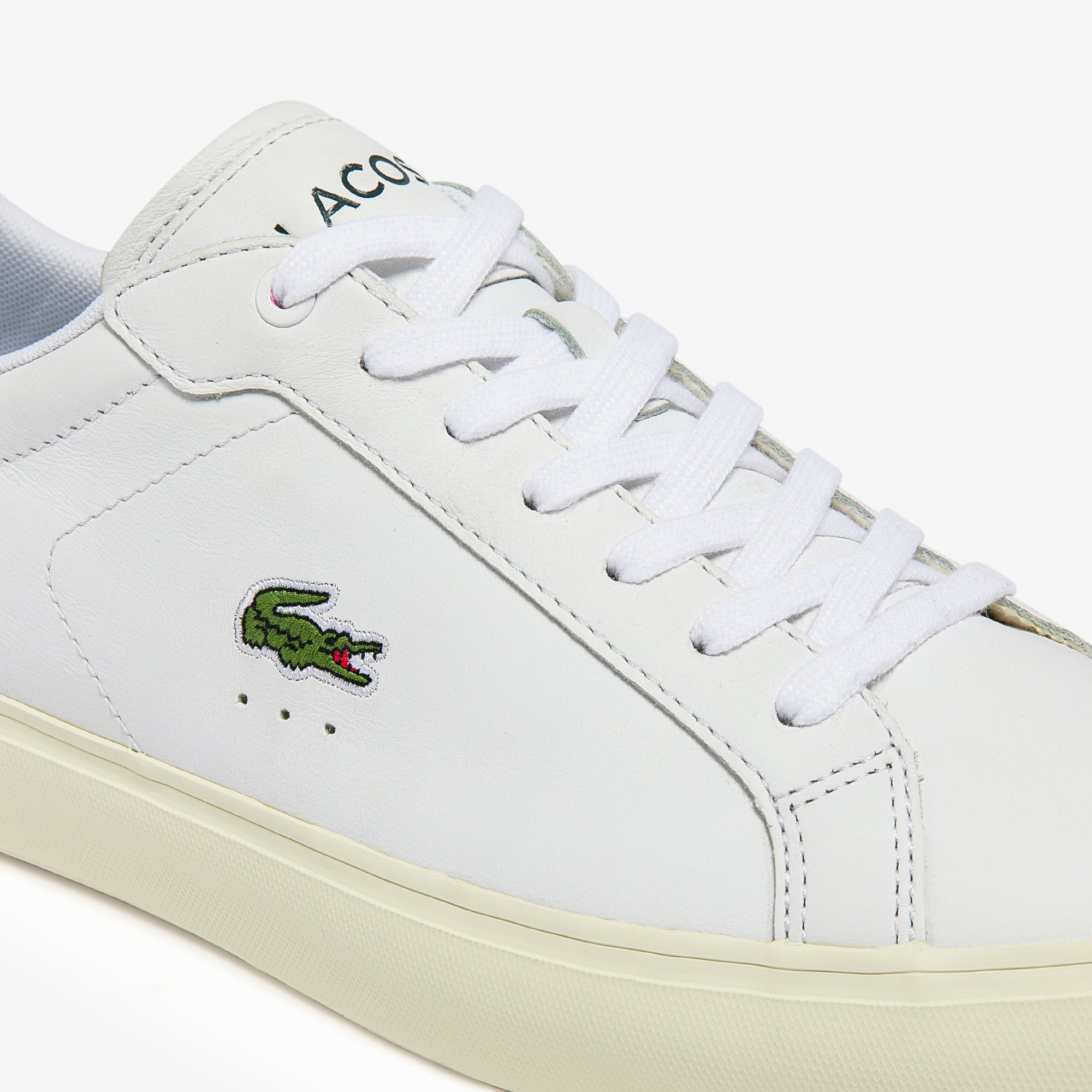 trainer lacoste