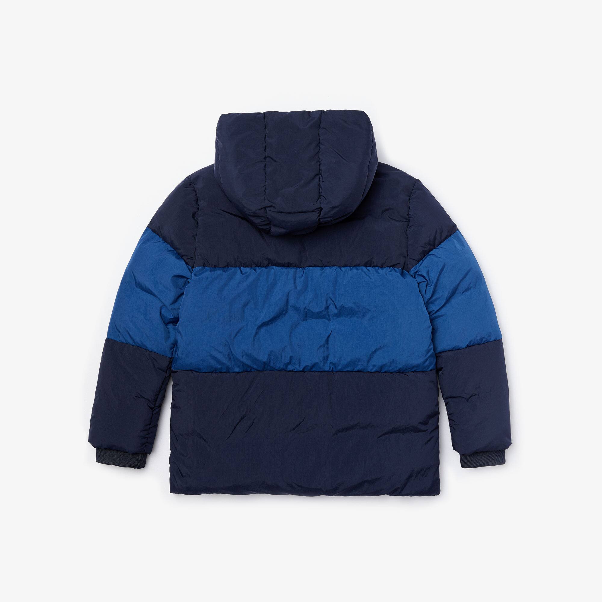 lacoste marine jacket