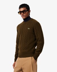 Cable Knit Wool Crew Neck Sweater