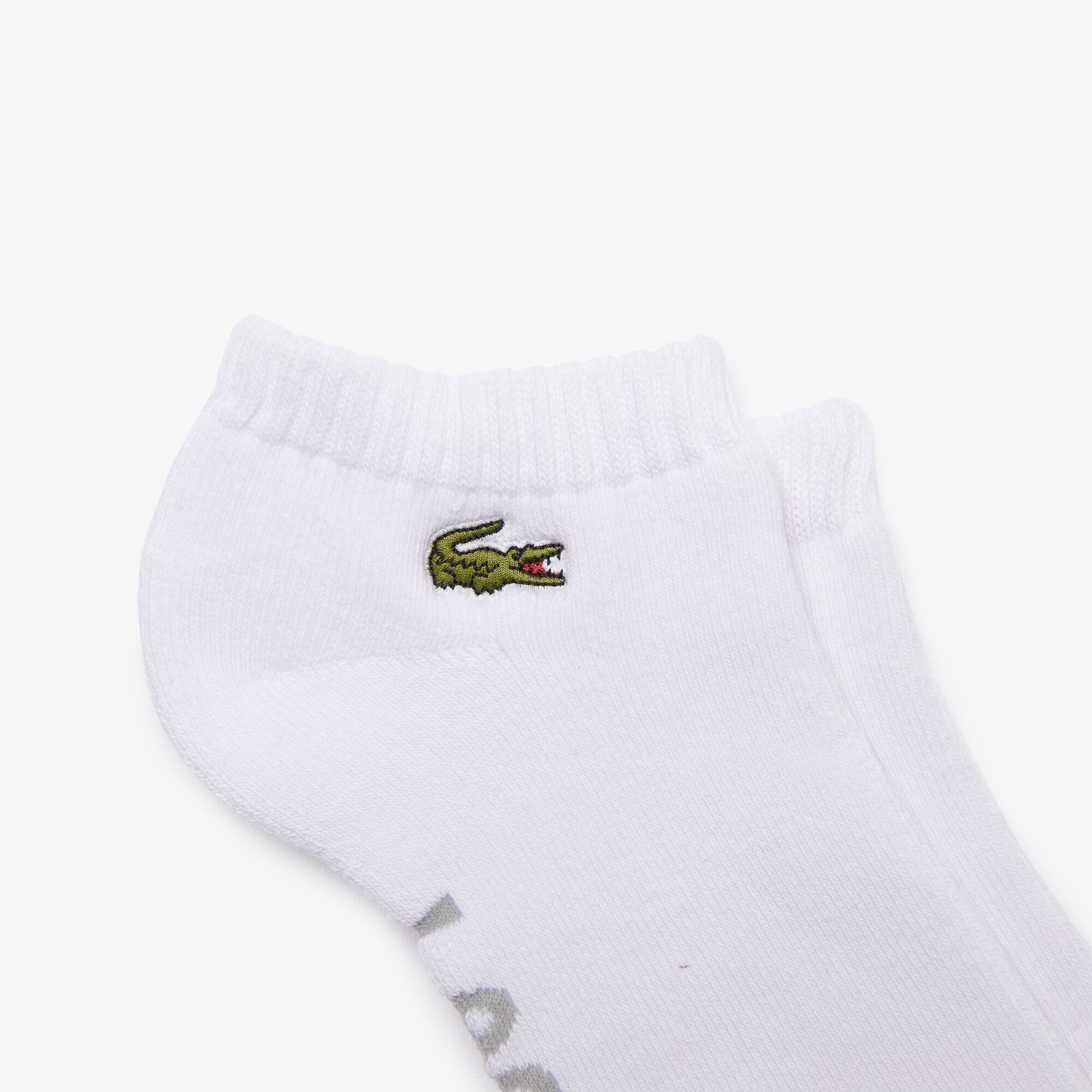 lacoste low