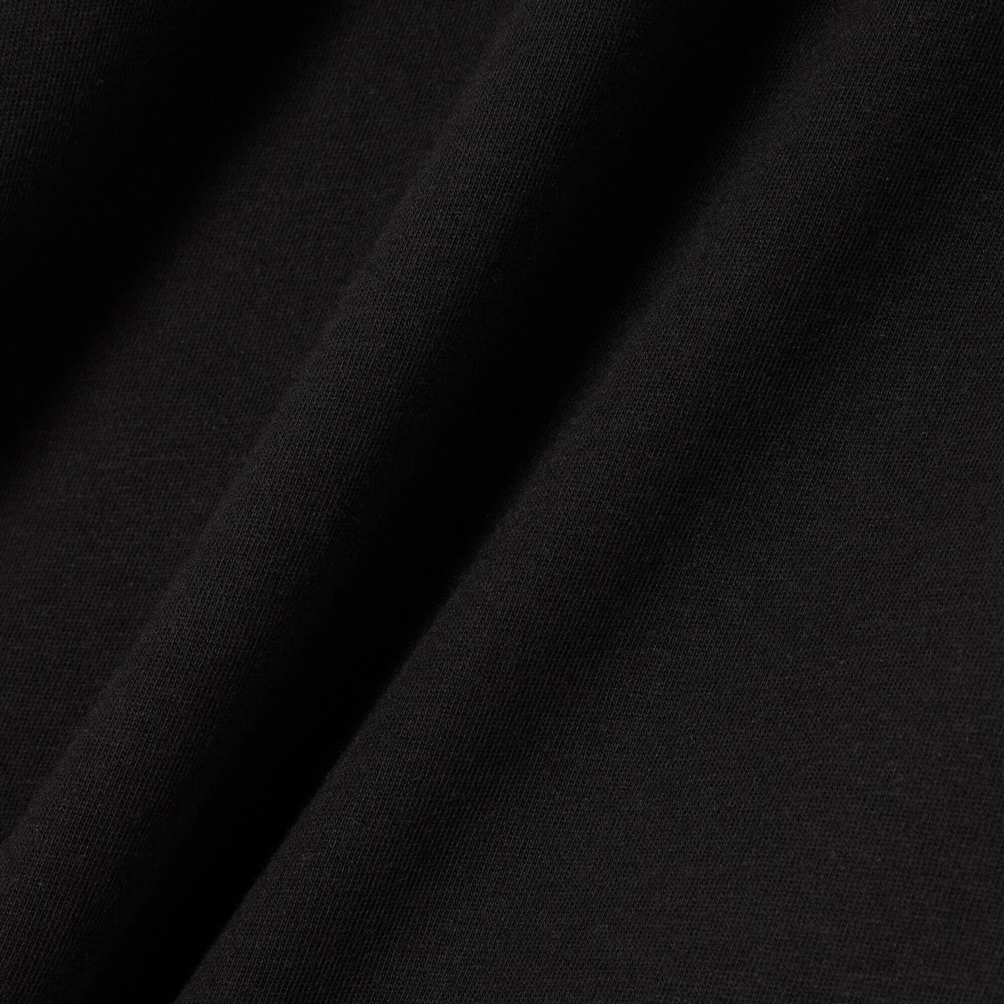 lacoste alligator logo