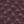Oxalis