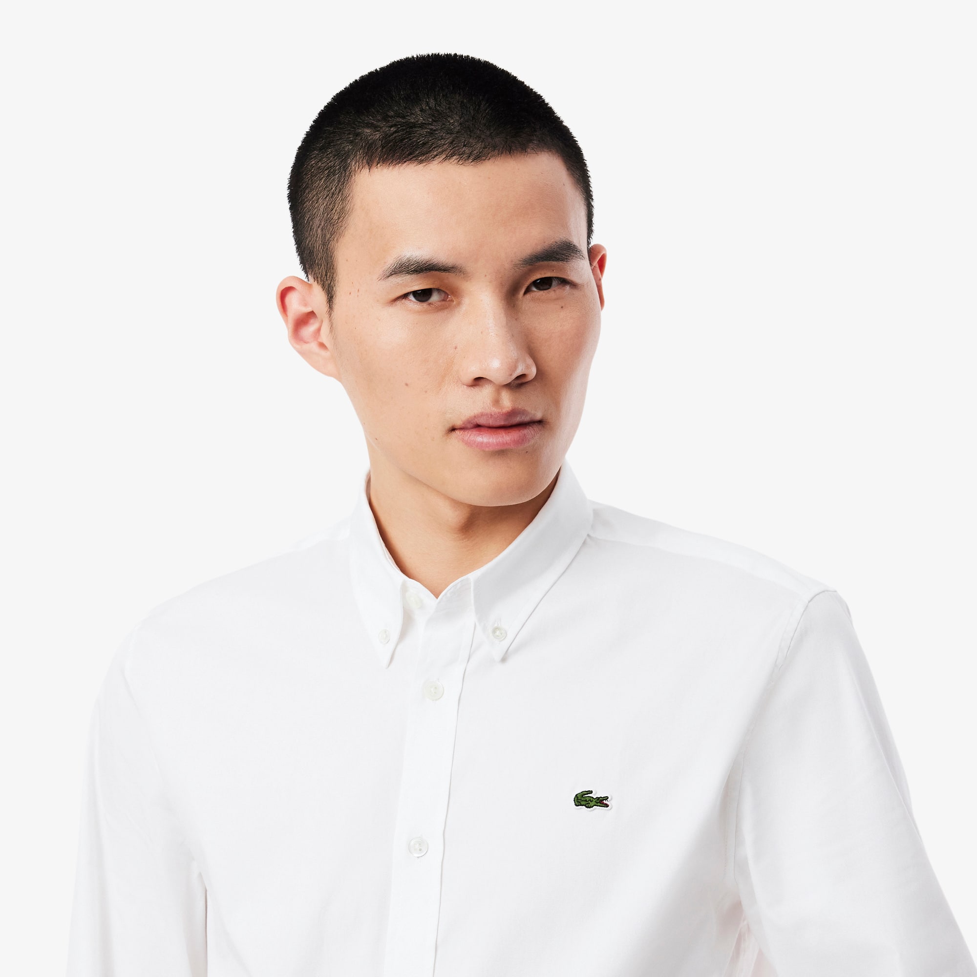 lacoste white shirts