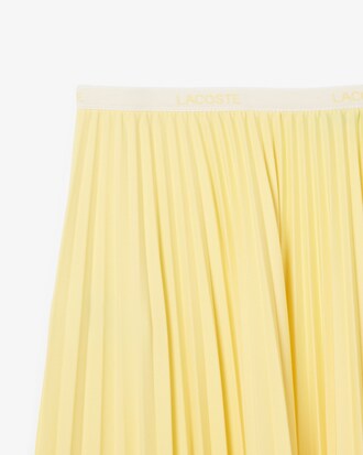 Long Pleated Elasticated Waist Skirt
