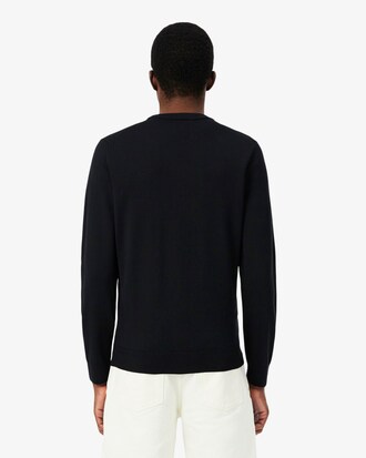 Merino Wool Crew Neck Sweater