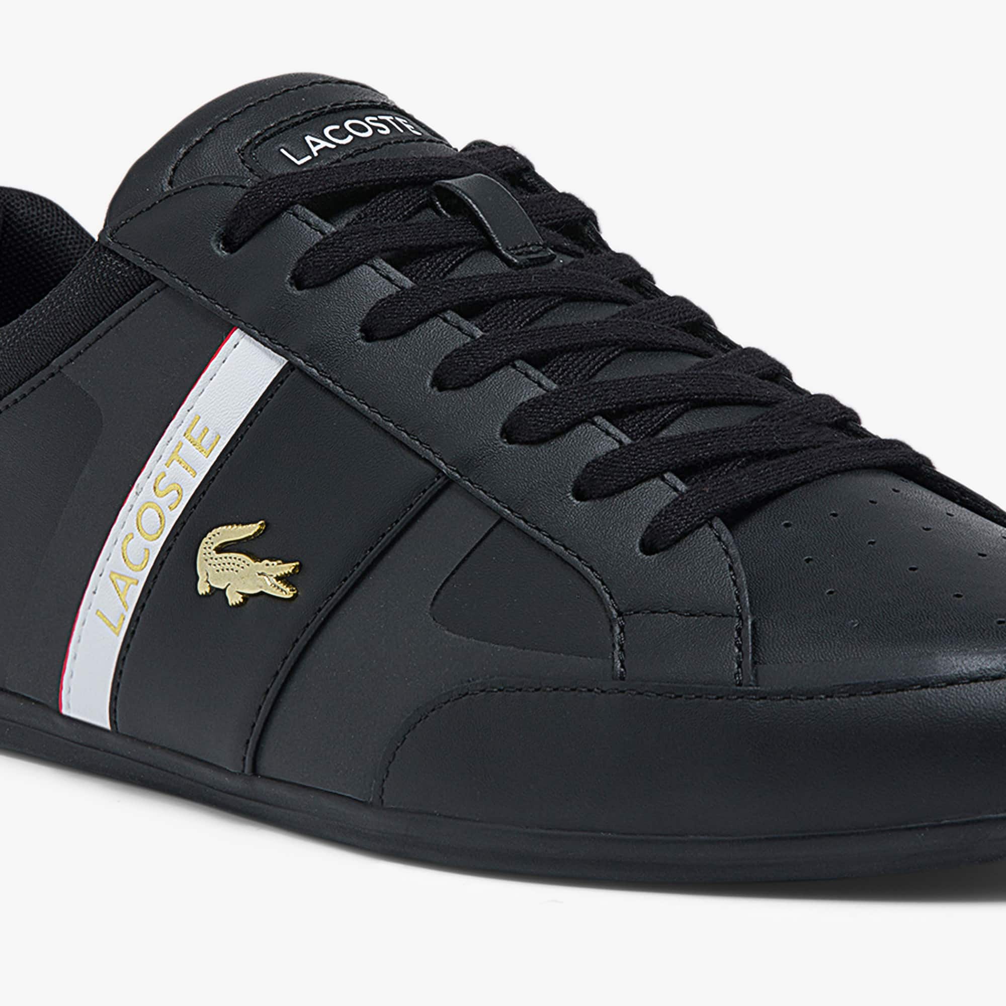 Men's chaymon leather sneakers lacoste Clearance