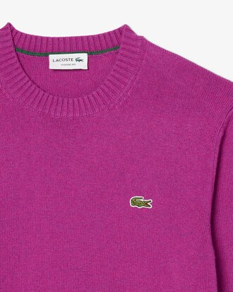Wool Crew Neck Sweater