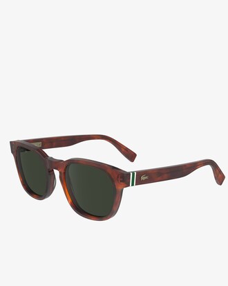 Ribbon Oval Acetate Glasses