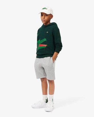 Crocodile Graphic Hoodie