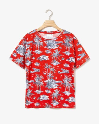 Camiseta De Cuello Redondo De Punto Liso Crep De Algodón Estampado