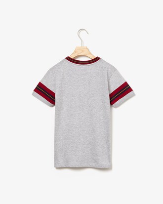 Camiseta de niño en algodón con mangas de rayas a contraste y cuello redondo