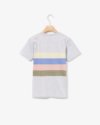 Camiseta de niño en algodón con franjas de rayas de colores y cuello redondo