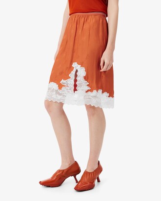 Falda de tul con bordado de paisaje Runway