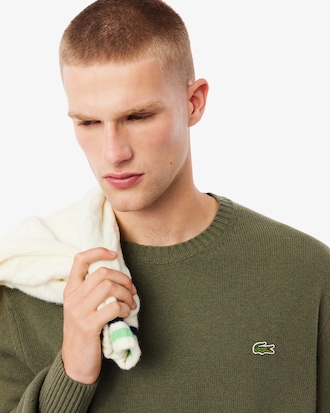 Jersey de cuello redondo de lana cardada