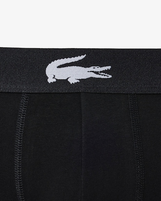 Pack de 3 calzoncillos de algodón elástico