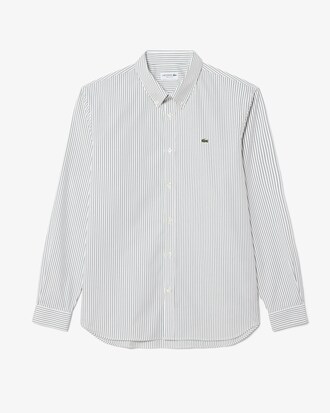 Chemise regular fit pinpoint ray&eacute;e