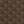Morel