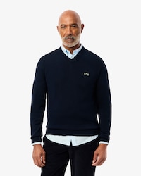 Pull coton uni col V