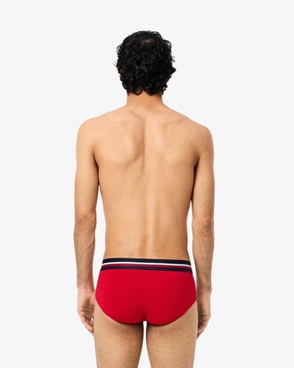Lot de 3 slips coton uni ceinture siglée