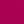 Rose Fushia
