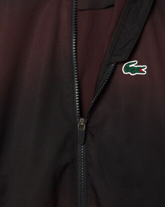 Survêtement Lacoste Tennis x Daniil Medvedev