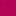 Rose fuchsia