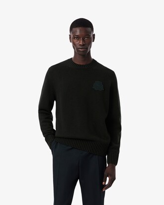 Pull jersey laine blason brod&eacute;