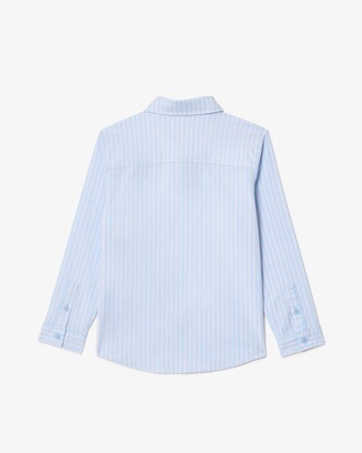 Chemise Oxford rayée