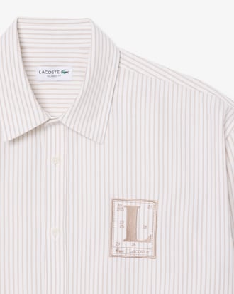 Chemise Oxford ray&eacute;e relaxed fit