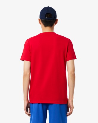 Pack Lacoste Tennis x Novak Djokovic