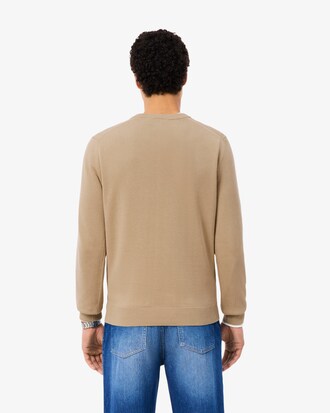 Pull coton uni col V