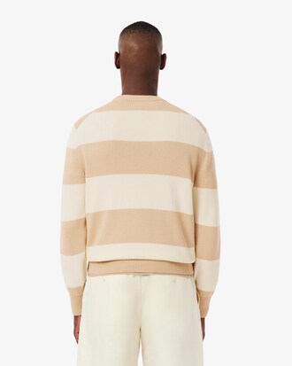 Pull jersey de coton ray&eacute;