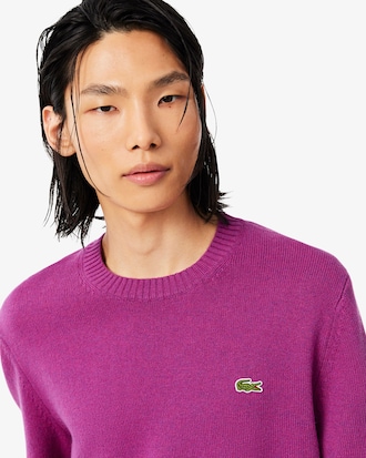 Pull en laine col rond