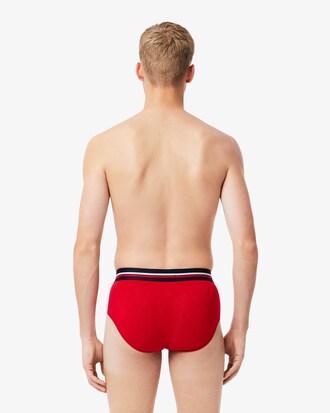 Lot de 3 slips coton uni ceinture siglée