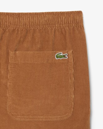 Pantalon regular fit velours côtelé