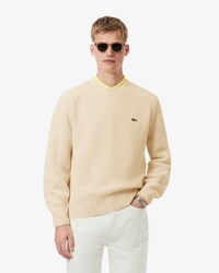 Pull en laine &eacute;paisse col rond