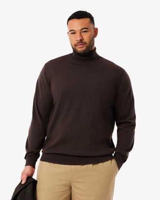 Pull en laine mérinos col roulé