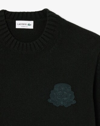 Pull jersey laine blason brod&eacute;